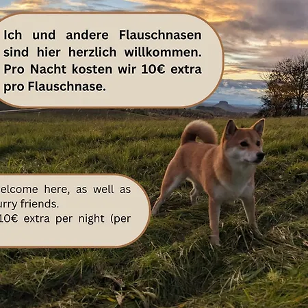 B1 - Urlaubsmagie - Einzimmerwohnung Direkt Am Wanderweg * Sebnitz