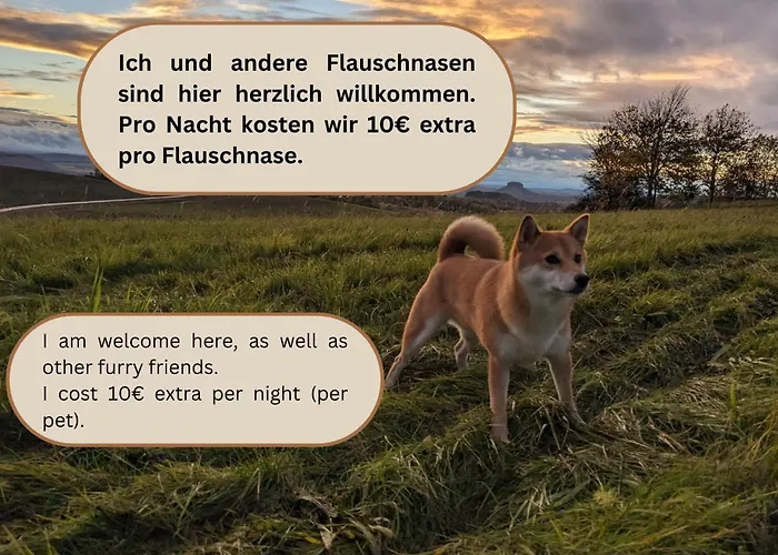 B1 - Urlaubsmagie - Einzimmerwohnung Direkt Am Wanderweg * زبنيتس